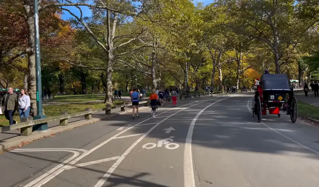 View from the bike in central park